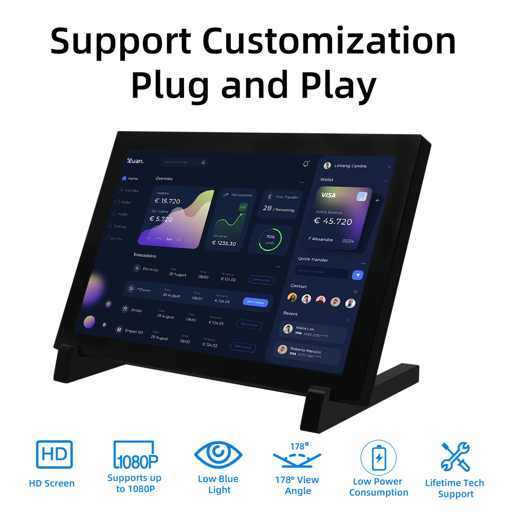 IPistBit 10.1 Inch Capacitive  - Raspberry Pi 10.1 Inch Capacitive Touch Screen Ips review and price
